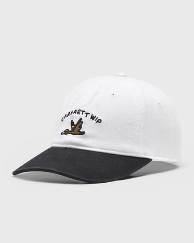 Animated Ducks Cap