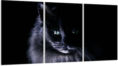 TMK ArtDeko - Glazen Beschermplaat - 30x52 cm - Snijplank - Spatbescherming