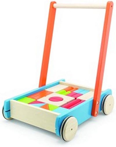 Pintoy Baby Walker Duwwagen Met Blokken