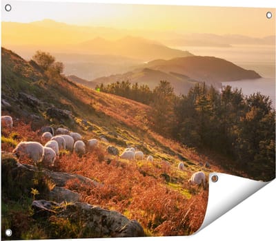 Gards Tuinposter Schapen in de Bergen - 80x60 cm - Tuindoek - Tuindecoratie - Wanddecoratie buiten - Tuinschilderij