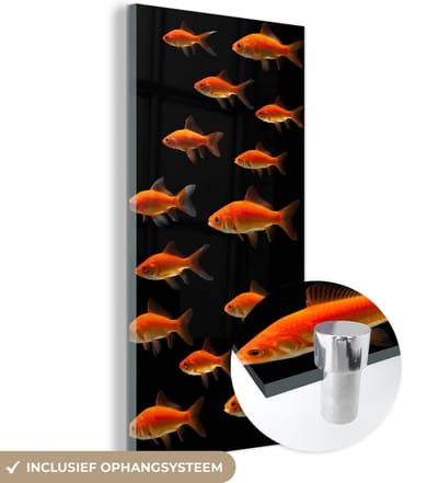 MuchoWow® Glasschilderij 20x40 cm - Schilderij acrylglas - Goudvis - Dieren - Zwart - Foto op glas - Schilderijen