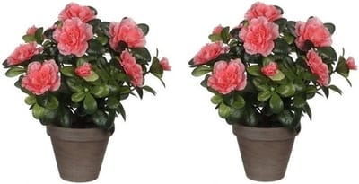 Mica Decorations Kunstplant - 2x - Azalea - groen/perzik kleurig - 27 cm - Met mooie bloemen