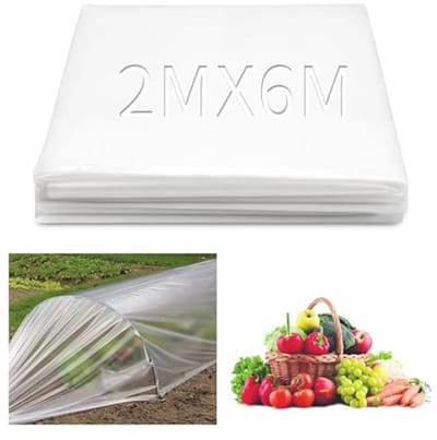 Broeikasfolie 2 x 6 m - Transparante, Scheurvaste Polyethyleen Folie voor Planten en Groenten