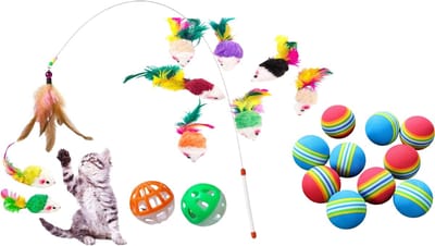IBBO® - Set kattenspeelgoed - 21 Stuks - schuimballen - zachte kattenspeelgoed -gekleurde muizen - Magische kattenstok - Bal met Belletje - stil spelen voor binnen - huisdieren - katten - MET Dierenborstel handschoen GRATIS