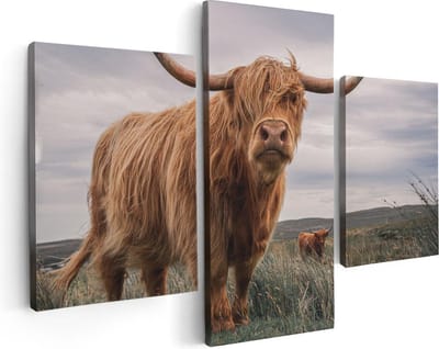 Artaza Canvas Schilderij Drieluik Schotse Hooglander Koeien In De Wei - 90x60 - Foto Op Canvas - Canvas Print
