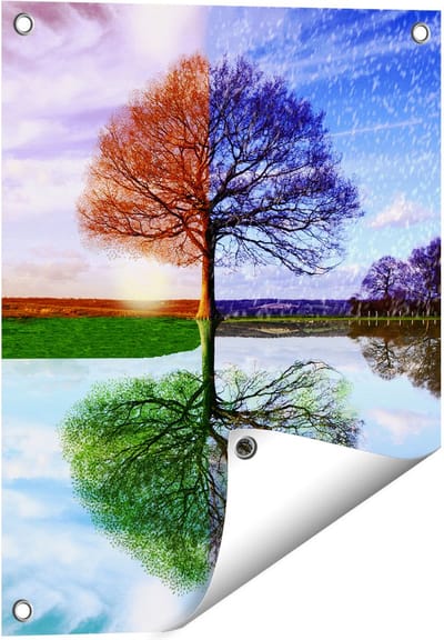 Gards Tuinposter Vier Seizoenen Boom - 40x50 cm - Tuindoek - Tuindecoratie - Wanddecoratie buiten - Tuinschilderij