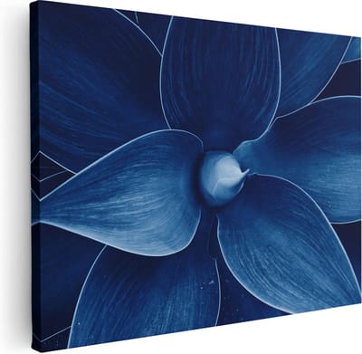 Artaza Canvas Schilderij Botanisch - 40x30 cm - Klein - Muurdecoratie Plant - Wanddecoratie Bloemen - Schilderijen Op Canvas