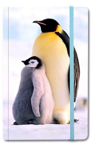 Softcover notitieboekje A6, Pinguins