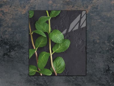 TMK ArtDeko - Snijplank - Glas - 45x52 cm - Miënte