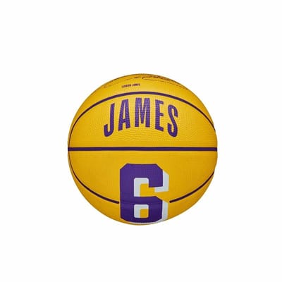 Wilson NBA LeBron James Mini Basketbal Maat 3 - Pictogram voor officiële speler