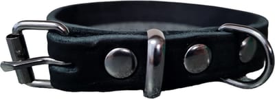 Schins Basic Halsband - Zwart - 45cm