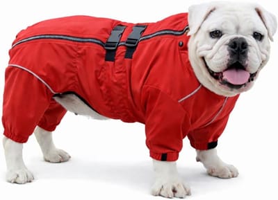 Honden Regenjas - Hondenjas Winddicht - Buiten Activiteiten - Reflecterend Veiligheid - Verstelbaar - Rood