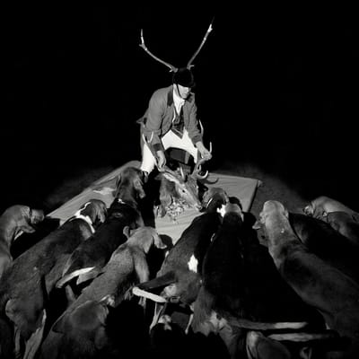 Les Marquises - A Night Full Of Collapses (LP)