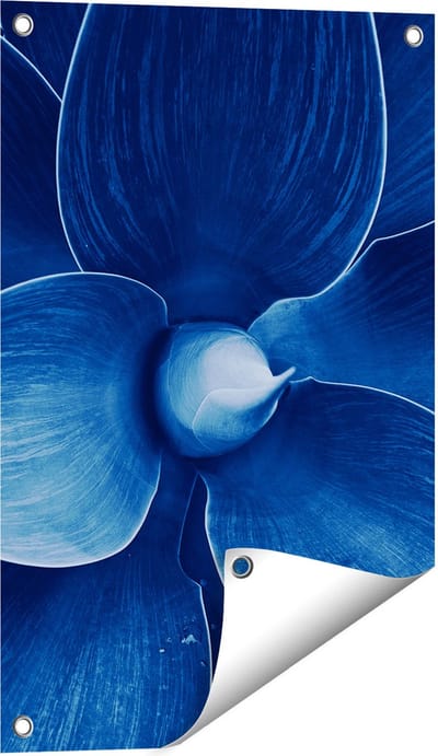 Gards Tuinposter Blauwe Agave Plant - Bloem - 40x60 cm - Tuindoek - Tuindecoratie - Wanddecoratie buiten - Tuinschilderij