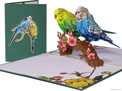 Popcards popupkaarten – Verjaardagskaart Vogel Parkiet Grasparkiet Romantiek Liefde Verliefd Echtpaar Trouwen Duo Felicitatie Verjaardag Huwelijk pop-up kaart 3D wenskaart