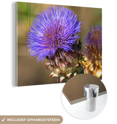 ® Glasschilderij 160x120 cm - Schilderij acrylglas - Een donkerblauwe kardoen in Assen - Foto op glas - Muurdecoratie woonkamer - Wanddecoratie slaapkamer - Schilderijen
