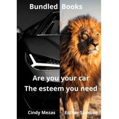 Bundled Books: Are You Your Car? ! The Esteem You Need - Cindy Mezas Esther Samboe