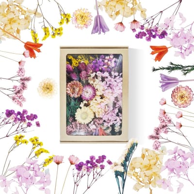Natuurlijke Gedroogde Bloemen in Papieren Doos - Decoratie en Knutselmateriaal