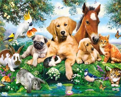 VDTOYS® DIAMOND PAINTING volwassenen - VDTD262 - vierkante steentjes - full - groot formaat - nieuwe tekeningen - 45 op 45 cm (canvas) - 40 op 40 (foto)
