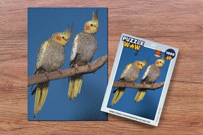 Puzzel Twee jonge valkparkieten op een tak - Legpuzzel - Puzzel 1000 stukjes volwassenen