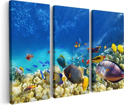 Artaza Canvas Schilderij Drieluik Vissen in de Oceaan met Koralen - 180x120 - Groot - Foto Op Canvas - Canvas Print