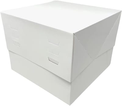 5 Verstelbare Taartdozen Wit 20x20x20 tot 30 cm Hoogte