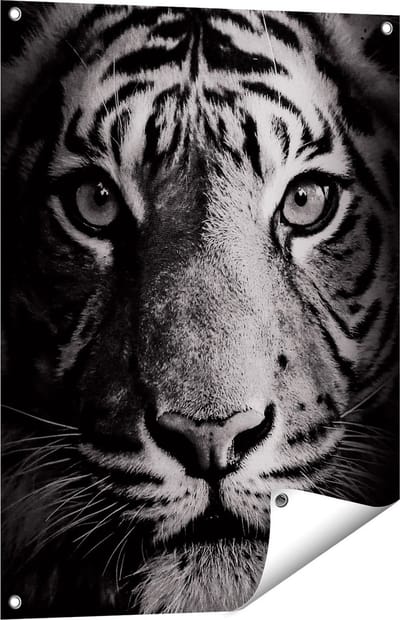 Gards Tuinposter Tijgerkop - Tijger - Zwart Wit - 60x80 cm - Tuindoek - Tuindecoratie - Wanddecoratie buiten - Tuinschilderij