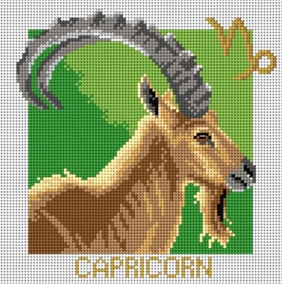 Voorbedrukt stramien om te borduren - ORCHIDEA - Sterrenbeeld Steenbok - 24 x 24 cm (ZONDER GARENS)