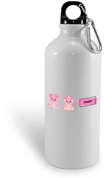 Hacebo® - Varkens met eigen naam waterfles - Varken - dieren liefhebbers - leuke cadeau voor iemand die van houdt van biggen - verjaardagscadeau - kado - gift - water fles - 400ML