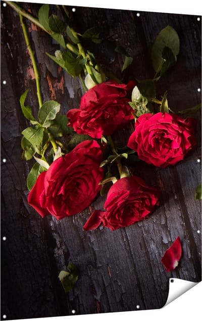 Gards Tuinposter Rode Rozen op de Grond - 120x160 cm - Tuindoek - Tuindecoratie - Wanddecoratie buiten - Tuinschilderij