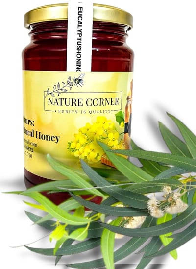 Eucalyptus Honing- عسل الكينا -miel d'eucalyptus- 100%Natuurlijke Bijenhoning | Aromatische & Gezonde Premium Honing- 450g