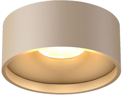Artdelight Moderne LED Plafonnieres Oran 1 Lichtpunt Rond Champagne Aluminium Slaapkamer Gang/Hal Badkamer Keuken Dimbaar IP54