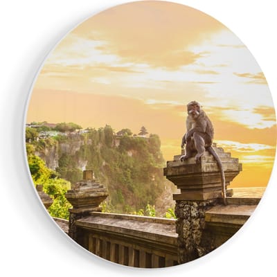 Artaza Forex Muurcirkel Aap Op De Uluwatu Tempel In Bali - 60x60 cm - Wandbord - Wandcirkel - Rond Schilderij - Wanddecoratie Cirkel