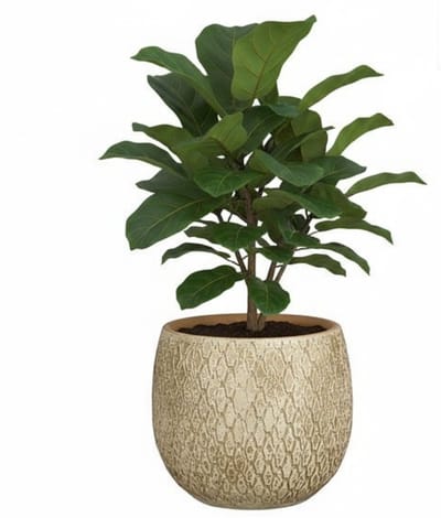 Mica decorations Bloempot / plantenpot Madeira - creme - terracotta - 16 x 16 cm - schubbenpatroon