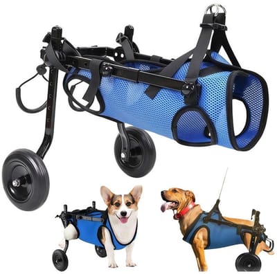 KZQ Hondenrolstoel met twee wielen en achterpootsteun - Maat M - Verstelbare gewrichts- en heupsteun - Geschikt voor kleine tot middelgrote honden en honden met een beperking zoals artrose, verlamming en blessures.