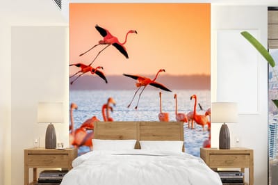 Behang - Fotobehang Vogel - Flamingo - Water - Zonsondergang - Roze - Breedte 205 cm x hoogte 280 cm