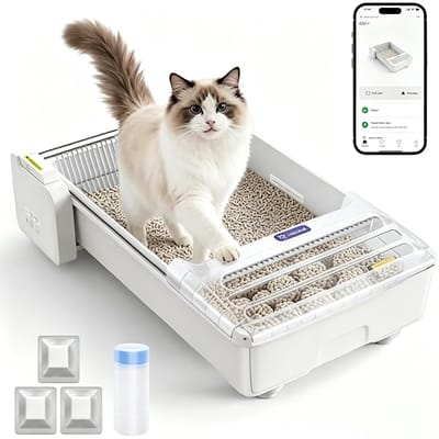 ITRONIQ Automatische Kattenbak Zelfreinigend met App – Open Slimme Kattenbak voor Grote Katten en Meerdere Katten – Geurcontrole