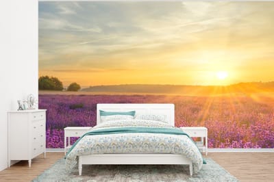 Behang - Fotobehang Lavendel - Zonsondergang - Bomen - Paars - Breedte 400 cm x hoogte 300 cm