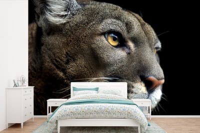 Behang - Fotobehang Poema - Wilde dieren - Portret - Breedte 420 cm x hoogte 280 cm