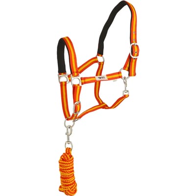 Nylon Halster voor Paard met Longe Hispano Hipica