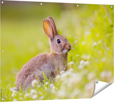 Gards Tuinposter Konijn tussen de Witte Bloemen - 120x90 cm - Tuindoek - Tuindecoratie - Wanddecoratie buiten - Tuinschilderij