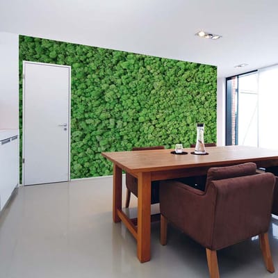 Fotobehang RealMoss DD108835 A.S. Création AP Digital 4 | Fotobehang