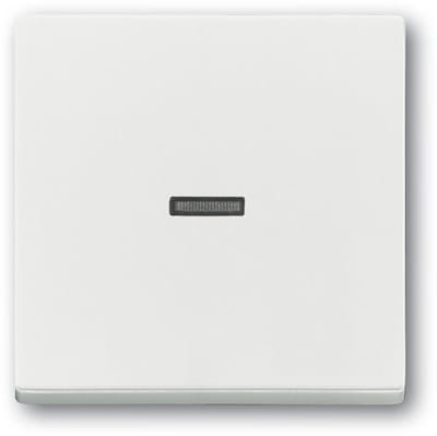 ABB Busch-Jaeger Schakelelement/Centrale Plaat - 2CKA001751A3153