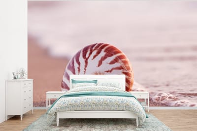 Behang - Fotobehang Schelp - Strand - Zee - Zand - Breedte 295 cm x hoogte 220 cm