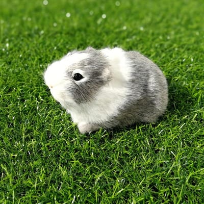 Simulatie Vacht Cavia Dier Pluche Knuffel Hamster Pop Pluche Speelgoed Zacht Knuffeldier Figuur voor Kinderen Verjaardagscadeau grijze kleur