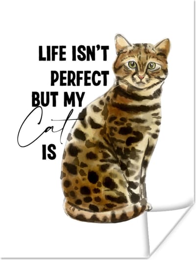 Poster Spreuken - Quotes - Katten - Life isn't perfect but my cat is - 120x160 cm XXL