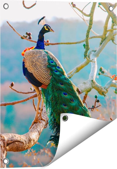 Gards Tuinposter Pauw in de Bomen - 40x50 cm - Tuindoek - Tuindecoratie - Wanddecoratie buiten - Tuinschilderij