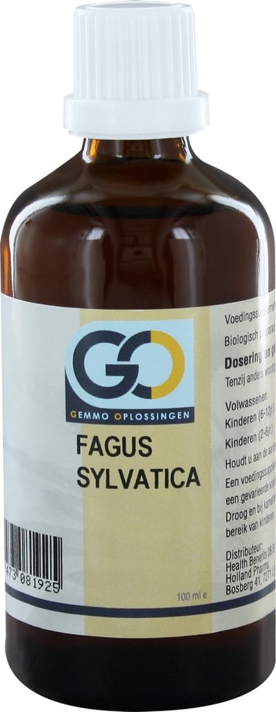 GO Fagus sylvatica bio 100 Milliliter