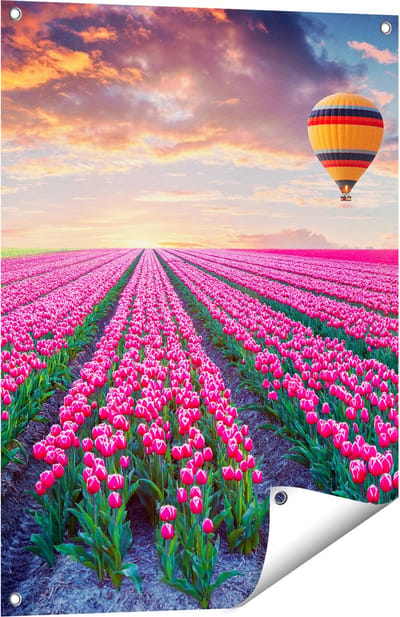 Gards Tuinposter Bloemenveld met Roze Tulpen - Luchtballon - 60x80 cm - Tuindoek - Tuindecoratie - Wanddecoratie buiten - Tuinschilderij