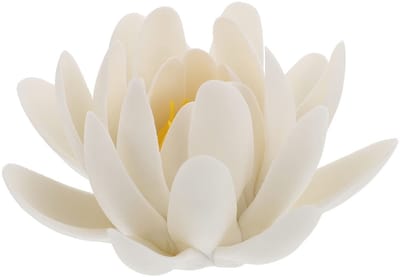 Dailygoods- Wierookhouder Lotusvorm - Wierookbrander - Aromatherapie Houder - Decoratie - Meditatie - Compact Design